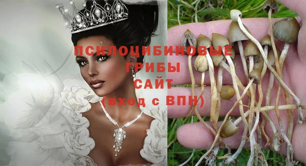 трава Алзамай