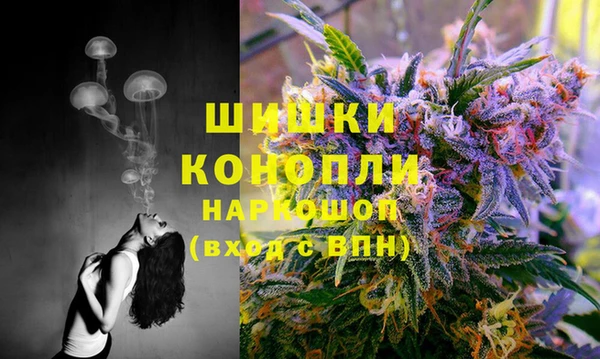 трава Алзамай